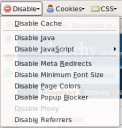 Web Developer Toolbar 1